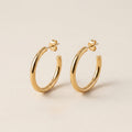 Big hoop Earrings
